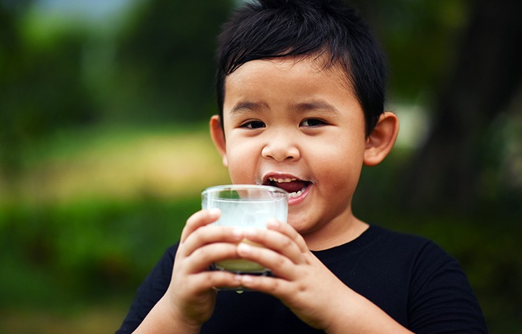 5 Benefits of Drinking Milk for a Healthy Life